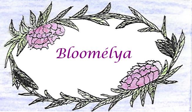 Bloomelya 12% reduction cumulative with all current offers from 30 euros of purchase excluding shipping costs.