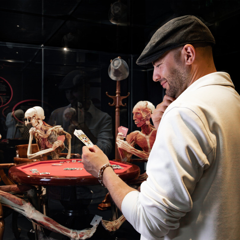 BODY WORLDS Amsterdam 30% discount on your ticket