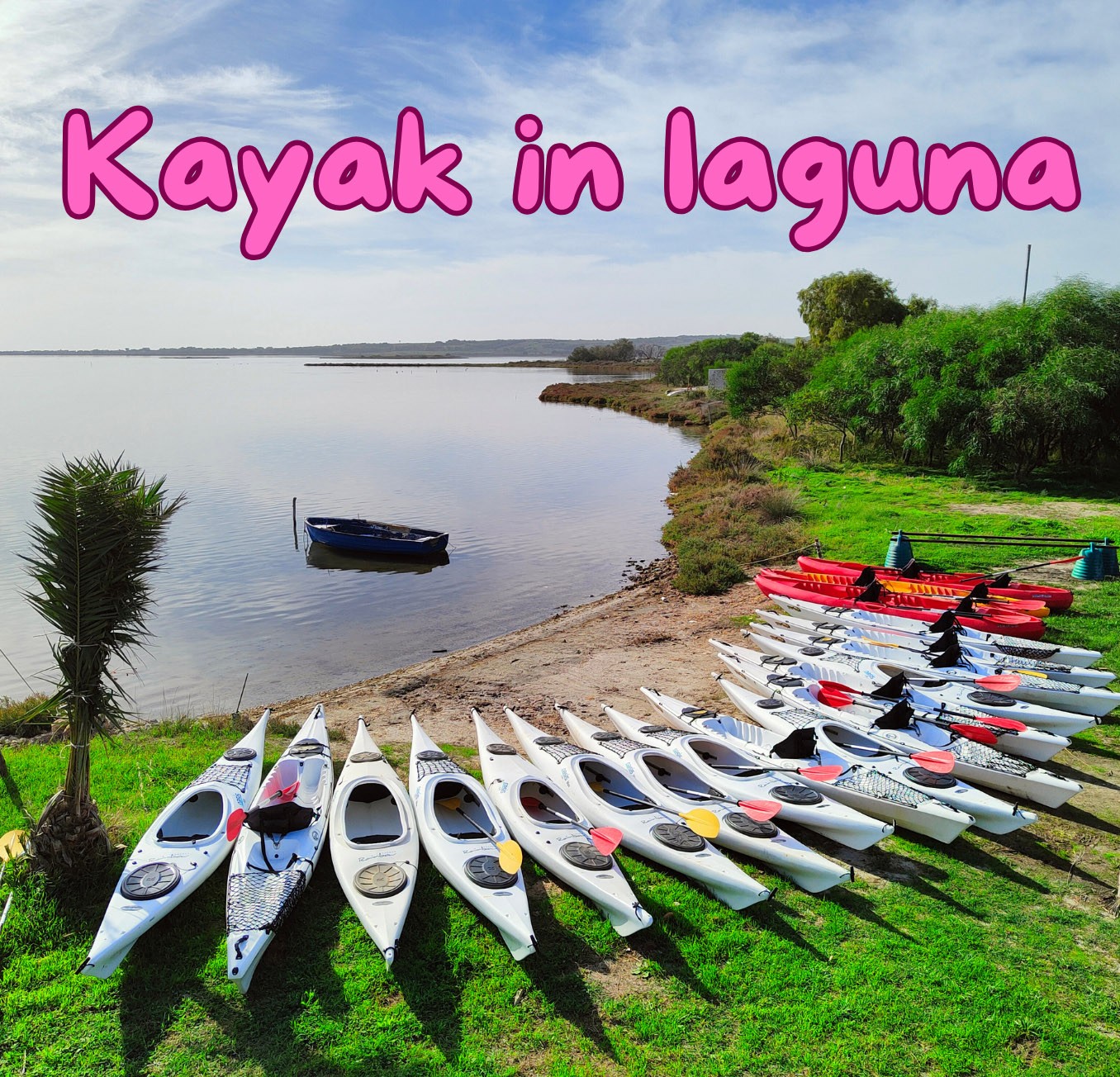 ALEA Società Cooperativa 10% discount on "Kayaking in the Lagoon" tours