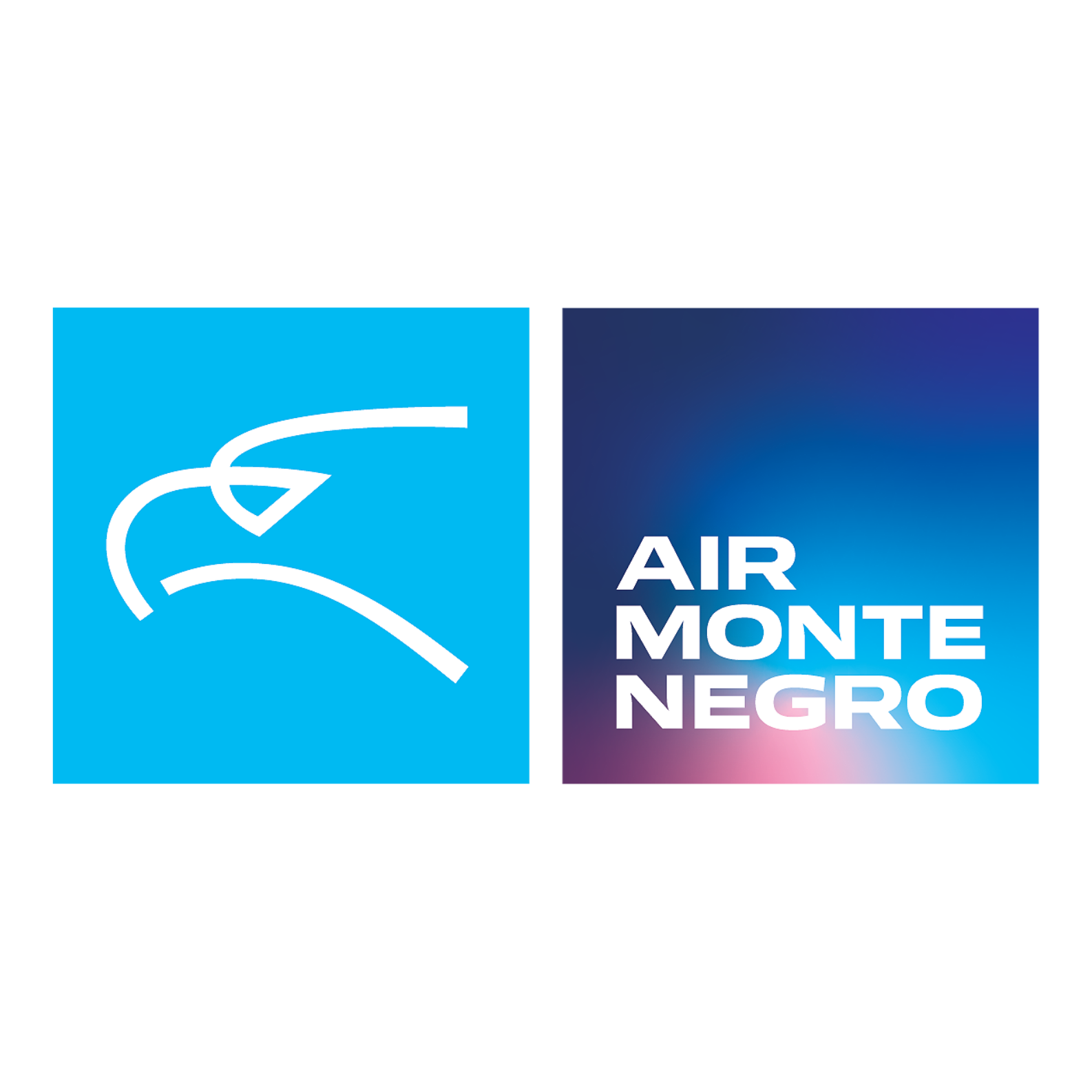 Air Montenegro eyca