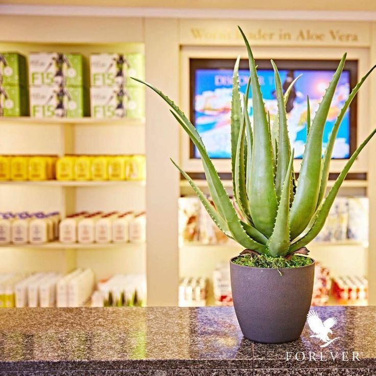 15% on products of the eco-products store "Aloe organic"