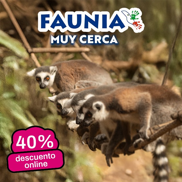 40% discount