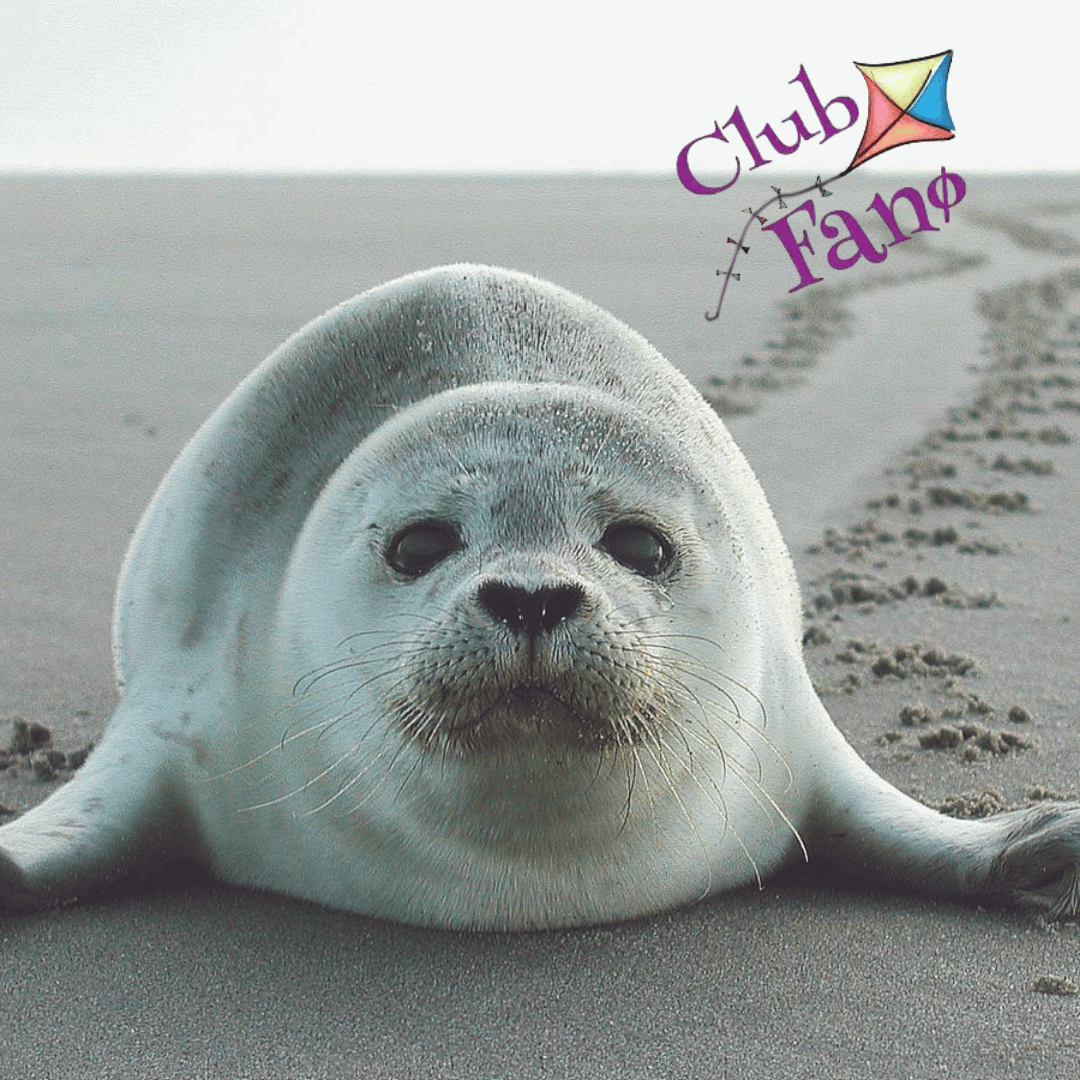 Club Fanø 15% discount