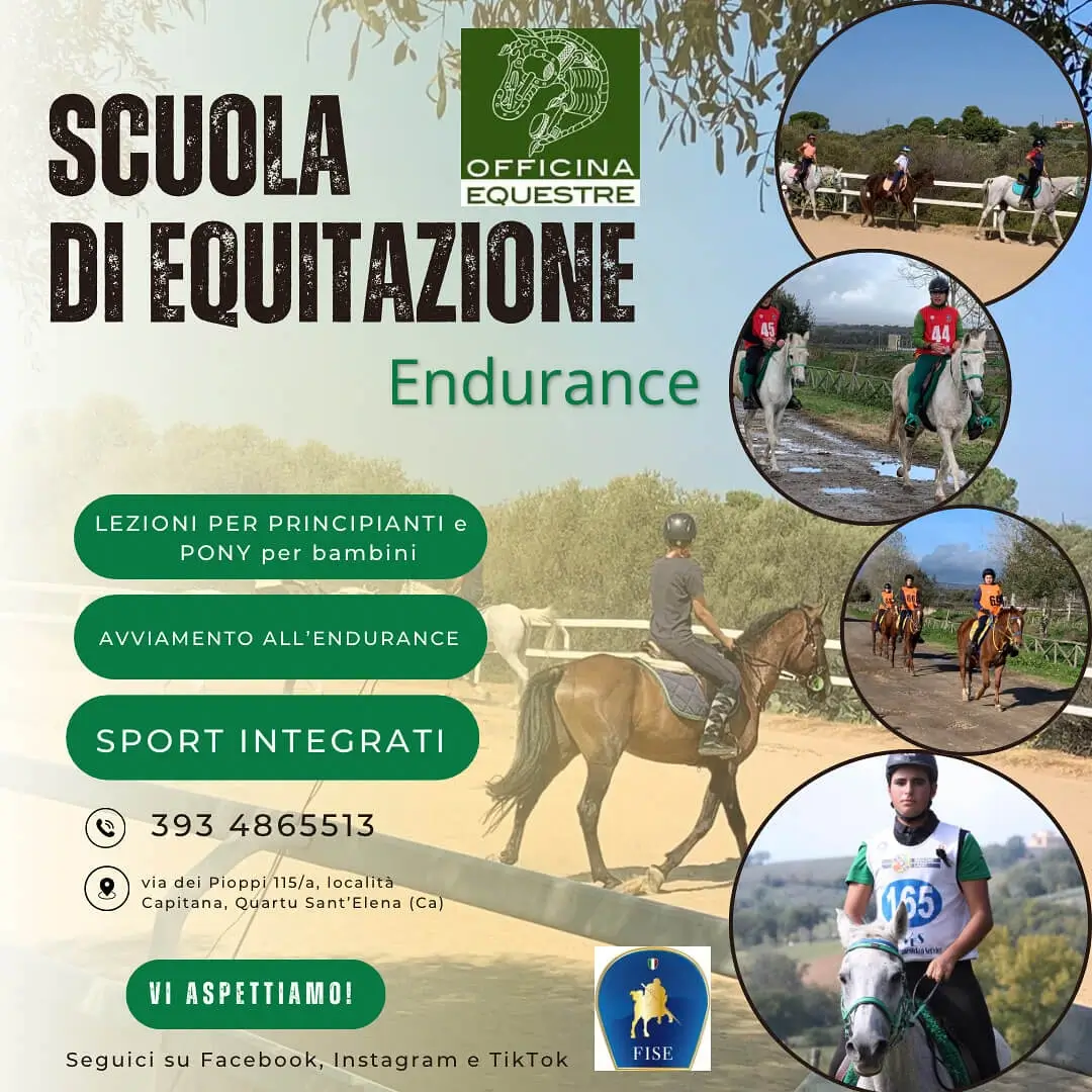 10% off on riding lessons