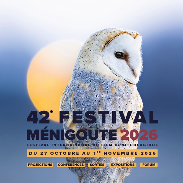 Festival Menigoute Bénéficiez du tarif réduit pour le séances cinéma du festival