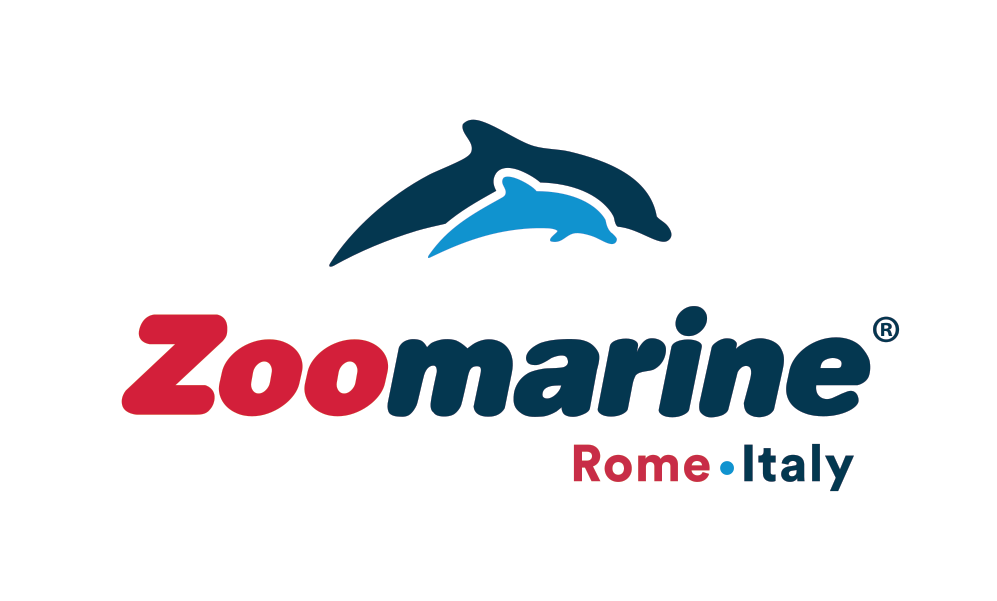 More than 50% discount at Zoomarine