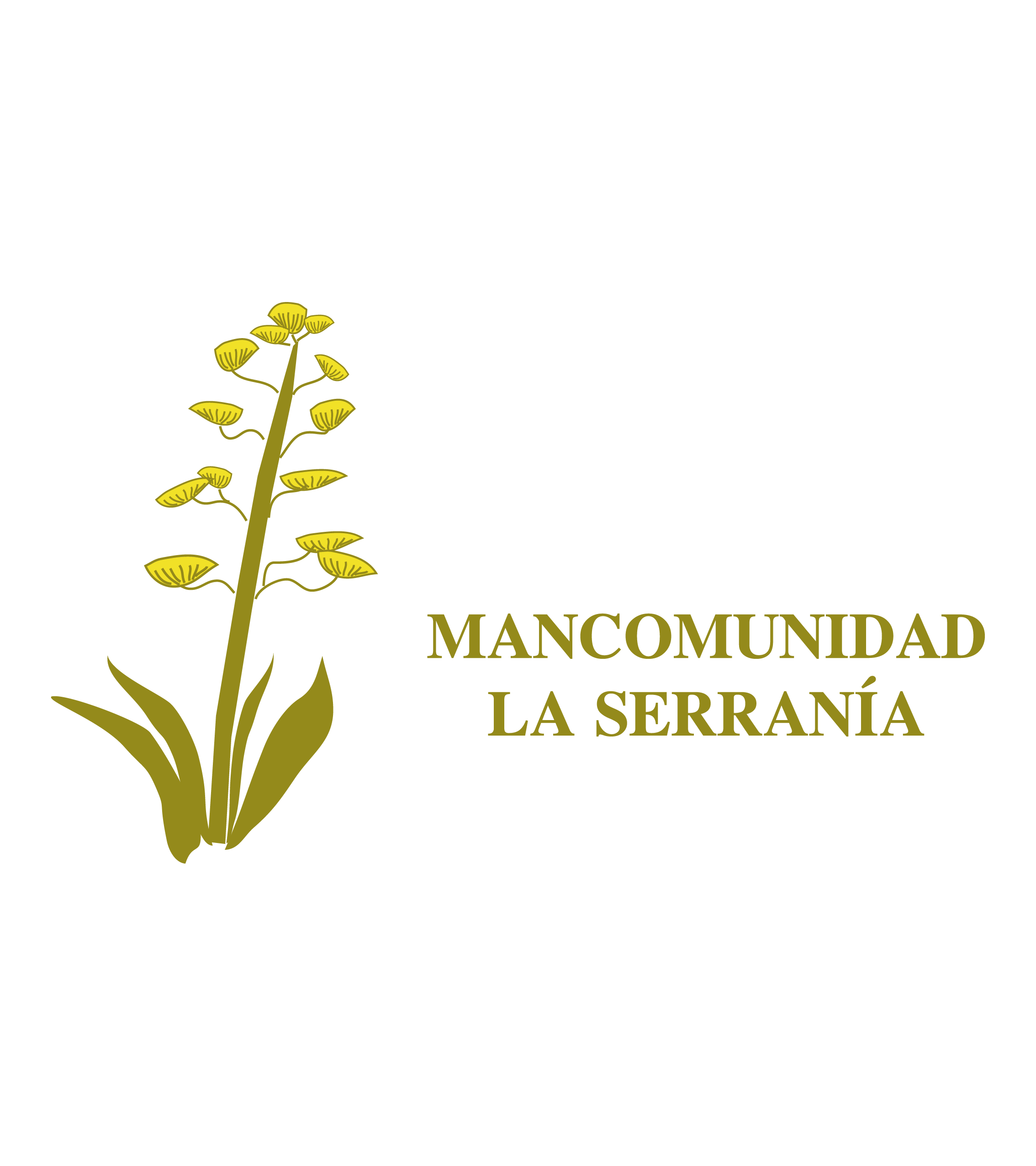 MANCOMUNIDAD LA SERRANÍA 10% off