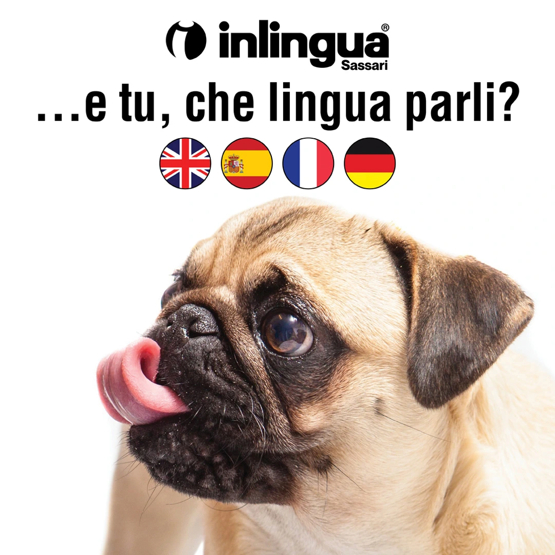 inlingua Sassari | Scuola di lingue 20% off on annual language group courses