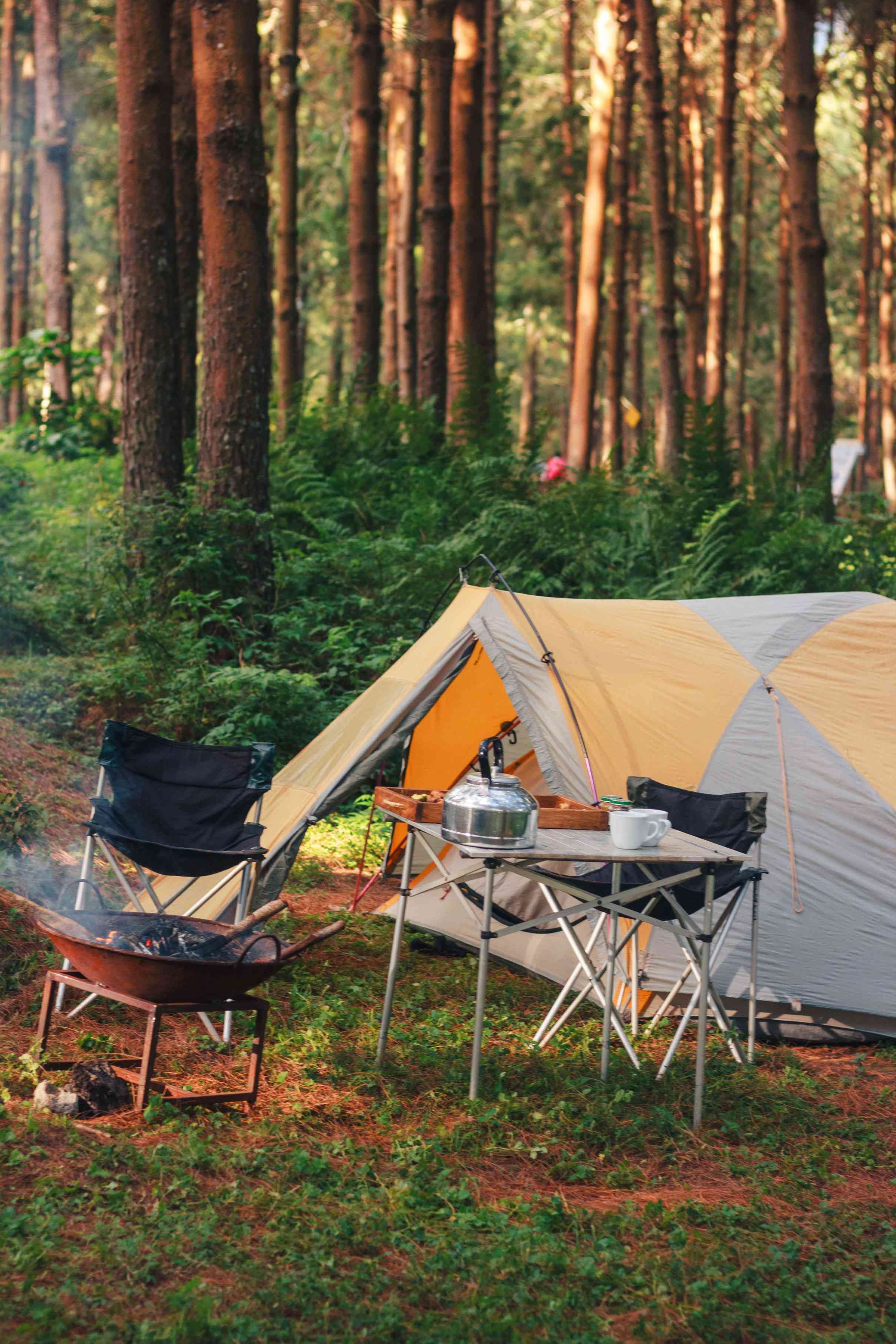 Camping Oaza Bela Crkva 10% discount on accommodation rental, sailing, and diving
