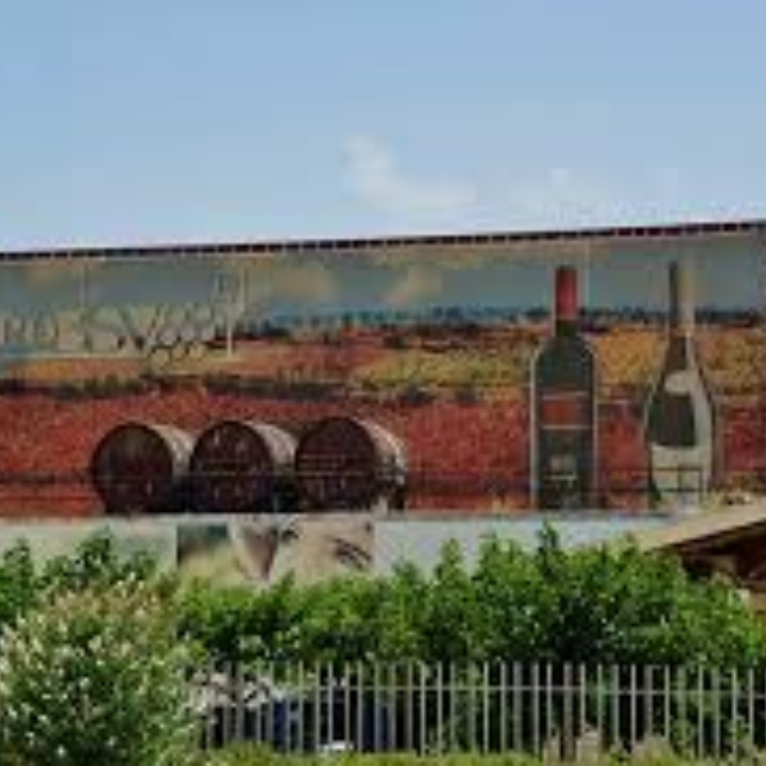 Bodegas San Valero (Bodega) Bodegas San Valero